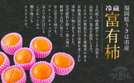 【先行予約】西見柿農園 冷蔵富有柿 12玉から15玉 (約5㎏) 【2026年12月下旬-2027年1月下旬発送予定】 柿 かき カキ 果物 くだもの フルーツ 果実 ジューシー お取り寄せ 福岡県 うきは市