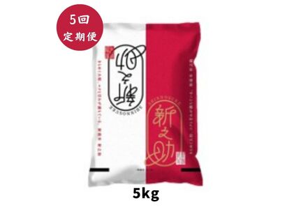 【令和7年産】【5回定期便】阿賀野市産「新之助」5kg（5kg×1袋） 安田興和農事 白米 精米 新潟県 米 こめ コメ 1W11076