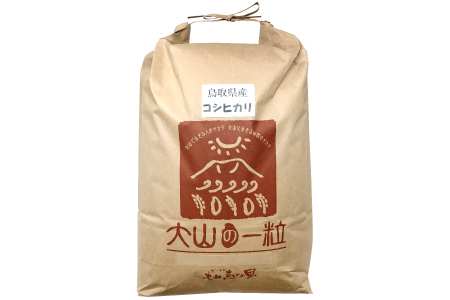 大山の一粒 玄米 10kg【玄米 10kg 10キロ こめ コメ げんまい ゲンマイ 先行予約 お米 こしひかり コシヒカリ ごはん ライス 国産 お取り寄せ 鳥取県 大山町】