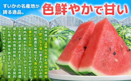 【先行予約】大玉すいか 2玉約10kg 日本フルーツ株式会社《4月下旬-7月下旬頃出荷》熊本県 菊池市 すいか スイカ 大玉 熊本県産