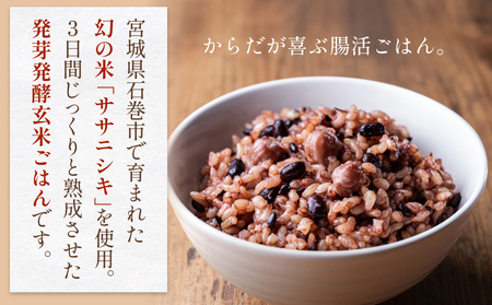 【常温】3日熟成発芽発酵玄米ご飯パック 7食 幻の米@石巻産ササニシキごはん