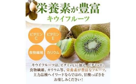【先行予約】&nbsp;先行予約！和歌山県産&nbsp;秀品&nbsp;キウイフルーツ&nbsp;大玉15個入&nbsp;こだわり農家厳選&nbsp; 【2026年12月中旬～2027年1月中旬頃に順次発送予定】/ キウイ キウイフルーツ 果物 フルーツ おやつ【kgr021】