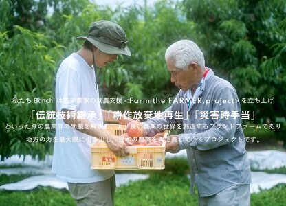 甲州市産 シャインマスカット&サンシャインレッド 4房入（約2.2kg）自然農法【2026年発送】（BNC）C9-425 シャインマスカット サンシャインレッド フルーツ