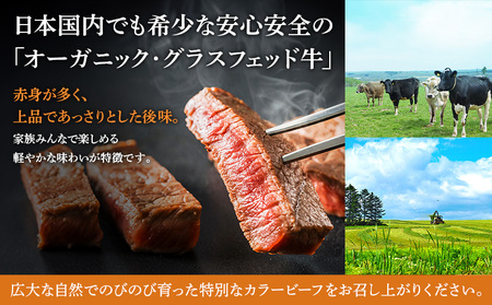 【雄武町】雄武産有機牛カラービーフ サーロイン（150g×2P）【01127】