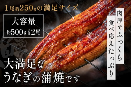 うなぎ蒲焼き 2尾セット(約250g×2尾セット) _HA1964 | うなぎ 鰻