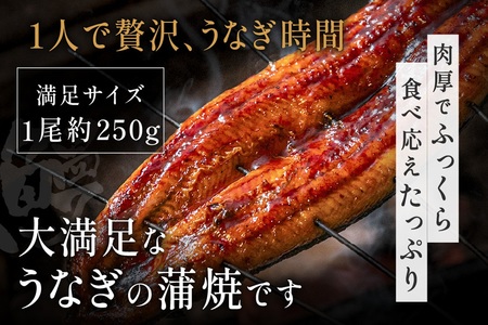 うなぎ蒲焼き 1尾セット(約250g×1尾セット) _HA1963 | うなぎ 鰻