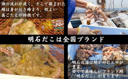 明石だこのやわらか煮 Mサイズ 魚貝類 タコ 加工食品 