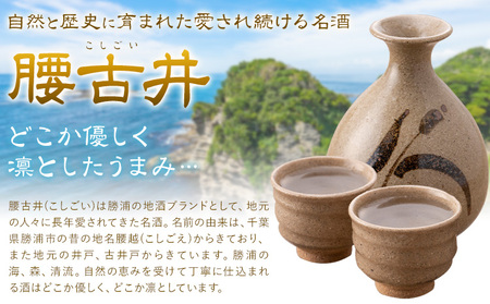 腰古井 純米大吟醸 吟の舞ソフト 720ml 1本 有限会社 滝口商店《30日以内に出荷予定(土日祝除く)》千葉県 勝浦市 日本酒 酒 純米 大吟醸