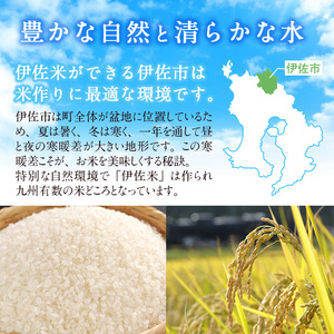 isa816 特別栽培ヒノヒカリ(5kg・5kg×1袋) 鹿児島 お米 米 白米 精米 伊佐米 ひのひかり 【やまびこの郷】