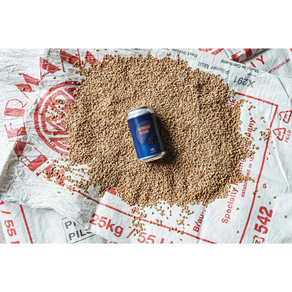 International Beer Cup金賞受賞 『GORA BREWERY』 人気銘柄3種缶6本セット