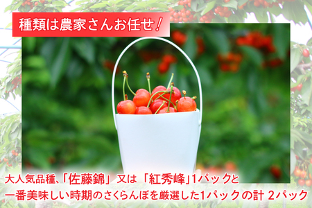 さくらんぼ 食べくらべセット 700g【先行予約】EM001 さくらんぼ
