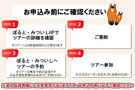 北海道 新ひだか町 体験 ツアー クーポン 10,000円分 日高 三石 釣り 星空 観賞 日高山脈 眺望ツアー 馬 サラブレッド 牧場 見学