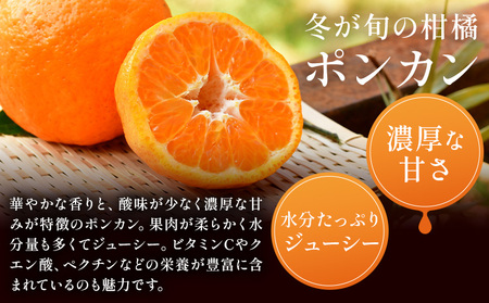 和歌山県産 ポンカン 5kg 中畑農園 ぽんかん 柑橘