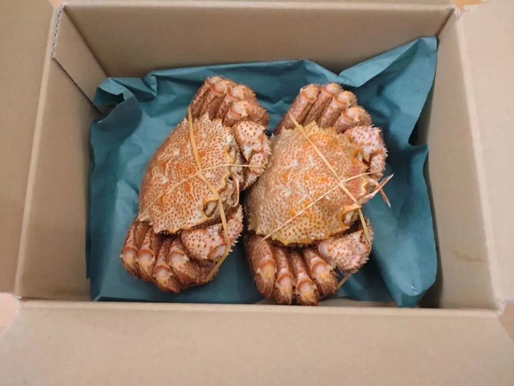 毛ガニ300g×2杯（冷凍茹で）【けがに　ケガニ　毛蟹　毛がに　カニ　太平洋　北海道　広尾町　冷凍　ボイル】（0100）