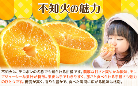 不知火 秀品・優品混合/サイズ混合 10kg 中畑農園 しらぬい 柑橘