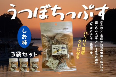 漁師たつ兄のうつぼチップス３袋