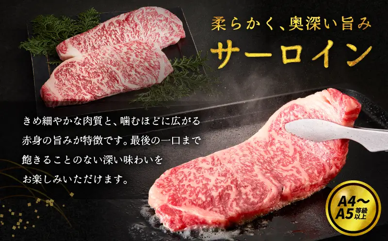 三浦牛サーロイン ・ 三浦牛切り落とし 詰め合わせセット M082-004 肉 牛肉 冷凍