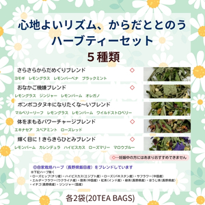 心地よいリズム 、からだ ととのう ハーブティー セット | 美城 