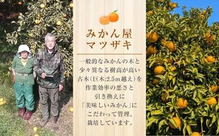【樹上完熟】長崎みかん（ 甘夏みかん ）約7kg みかん フルーツ 甘夏 果物 くだもの ミカン 蜜柑 長崎 【2026年4月上旬-7月上旬発送予定】