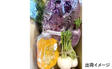 三陸山田産 カラフル 野菜 【2026年5月中旬～発送】 60サイズ ニンジン ピーマン トマト かぼちゃ じゃがいも ほうれん草 白菜 ニンニク 春菊 さつまいも 詰合せ お弁当 食卓 おかず 新鮮野菜 岩手県 三陸山田 山田町 山田産野菜  YD-1017