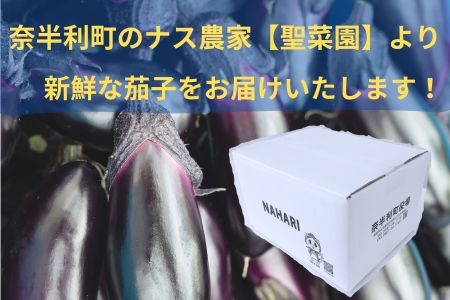 131001　奈半利町の茄子【慎太郎】2kg ナス なす 産地直送 野菜 箱入り 新鮮