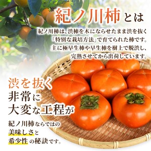 【先行予約】紀の川柿 （果実の中身が黒い！黒蜜柿）希少栽培！ 秀品６個～９個 こだわり農家厳選！【2026年10月上旬から11月上旬頃発送】/ 和歌山県 かつらぎ町 カキ 柿 紀ノ川柿 秀品 紀の川柿 かき フルーツ 旬 秋【kgr044】