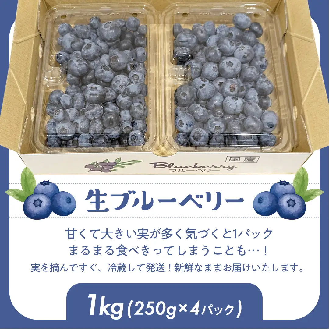 茨城県産 生 ブルーベリー 合計 1kg (250g×4P) 多品種 果実 果物 くだもの フルーツ おやつ ブルーベリー ベリー ジャム 小分け[DZ002sa]