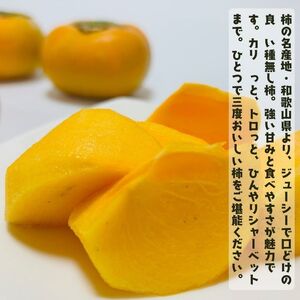 【先行予約】【2026年10月発送】【ご家庭用】和歌山のたねなし柿　秀優混合　約2kg【2026年10月上旬～下旬頃に順次発送予定】【ard254】