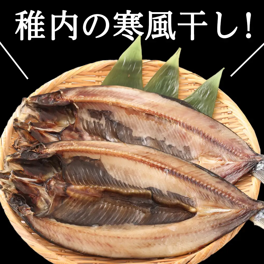 【定期便3ヶ月】一夜干し 開き にしん 5枚セット【北海道の居酒屋気分】