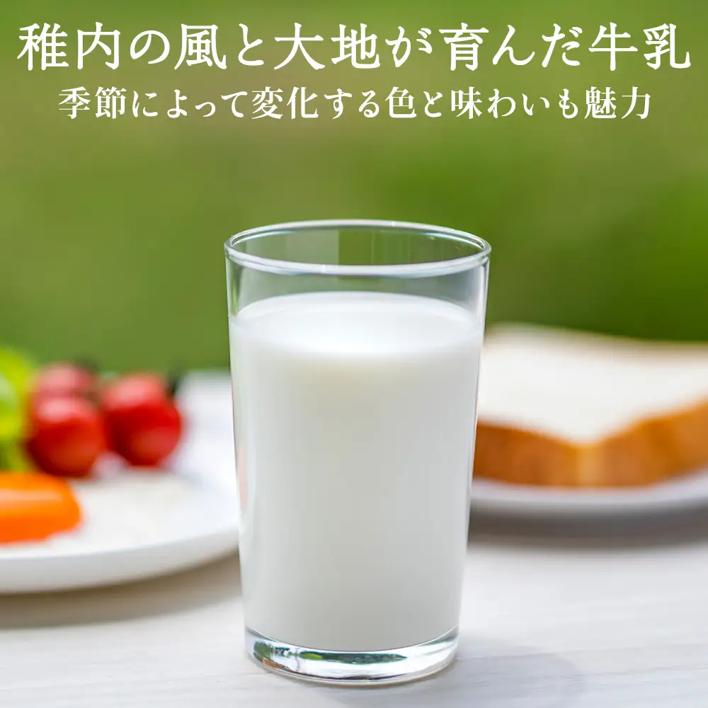 【定期便6ヶ月】稚内牛乳 900ml × 2本