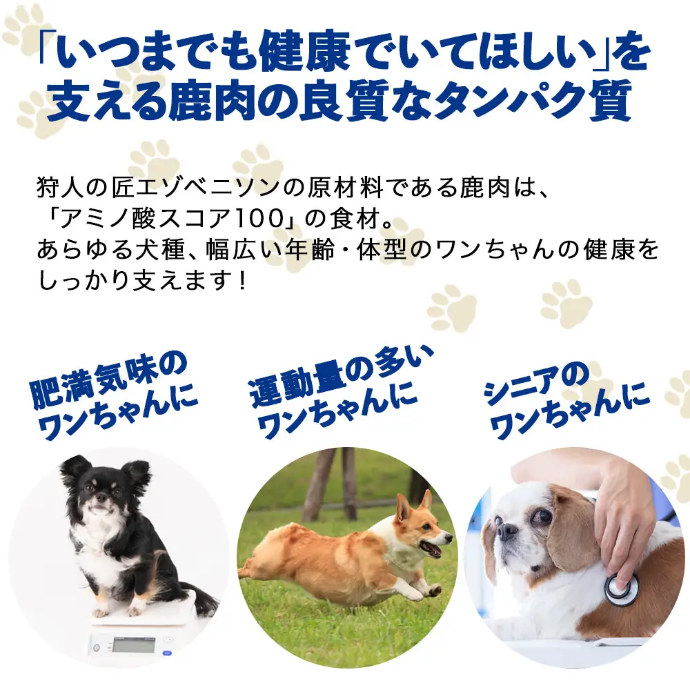 【定期便3回】エゾベニソン《ライト》 1.2kg