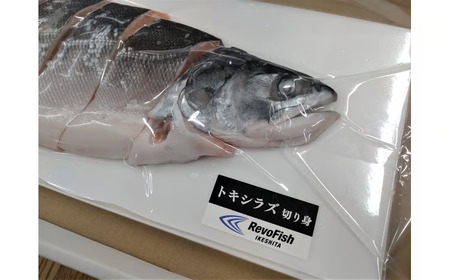 トキシラズ　切り身　500g以上　冷凍生【時知らず　ときしらず　鮭　サケ　さけ　海産物　海鮮　北海道産　国産　贈答　簡単　便利　お手軽】(AM0009)