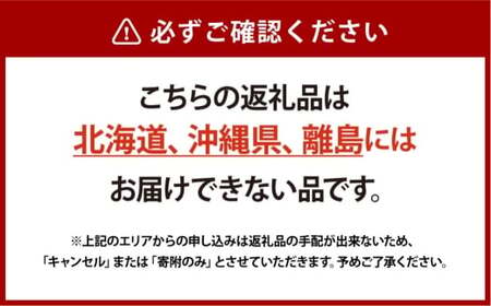 [HS]ぶどう シャイン マスカット 晴王 1房 約700g【2026年9月上旬～10月下旬発送】【ブドウ 葡萄  岡山県産 国産 フルーツ 果物 ギフト】