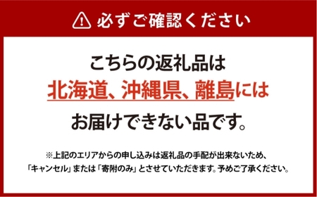 [HS]ぶどう シャイン マスカット 晴王 1房 約750g【2026年9月上旬～10月下旬発送】【ブドウ 葡萄  岡山県産 国産 フルーツ 果物 ギフト】