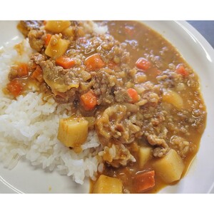 懐かしの学校給食カレー（レトルト）1食【001-0474】