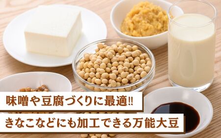 大豆 2.5kg 豆 イソフラボン おやつ おつまみ 味噌作り | 石川県 小松市 JAあぐり