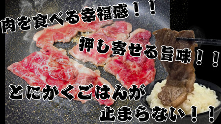 焼き肉用　黒毛和牛 300g×2パック　計600g【冷凍　牛肉　焼肉　ビーフ　BBQ　バーベキュー　北海道　十勝】(AQ0003)