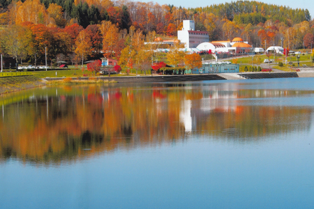 とり 大雪焼 プレーン グルメスパイス 辛味 カレー味 親鶏プレーン 親鶏粒コショー味 各70g×6袋 [ゴトウくんせい 北海道 剣淵町 14656354]