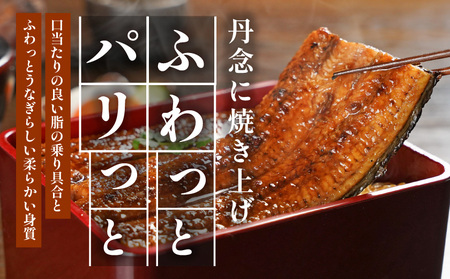【丑の日】宮崎県育ちのうなぎ蒲焼2尾300g以上≪山椒・たれ付≫≪7月20日～25日お届け≫_13-M301-UG_(都城市) うなぎ蒲焼(有頭) 宮崎県産 真空 山椒・たれ付  土用の丑の日