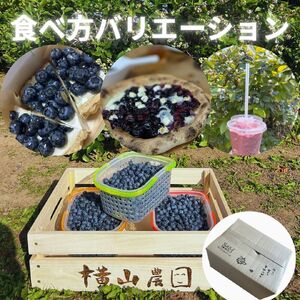 横山農園の生ブルーベリー1kg【CH-002】