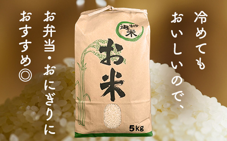 矢吹町産 コシヒカリ 令和7年産米 無洗米 5kg F6U-408