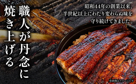 うなぎ 蒲焼 うなぎ[国産 2尾 一力 老舗 280g]