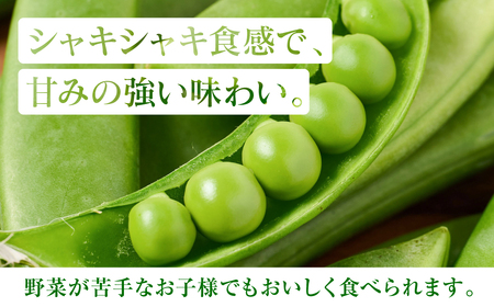 産地直送 スナップエンドウ 700g えんどう 豆 シャキシャキ食感 甘い 旬 野菜 やさい 新鮮 熊本県 八代市
