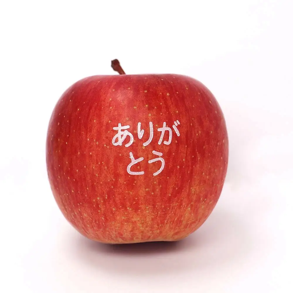敬老の日 につたえる ありがとう フルーツ セット 3kg 果物 山形