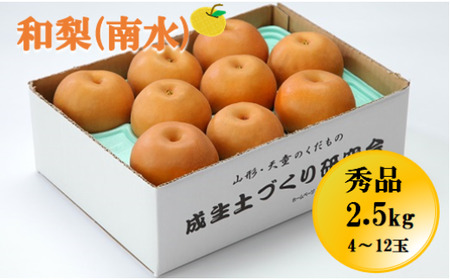 和梨 ( 南水 ) 約 2.5kg フルーツ 果物 山形 08-05-010