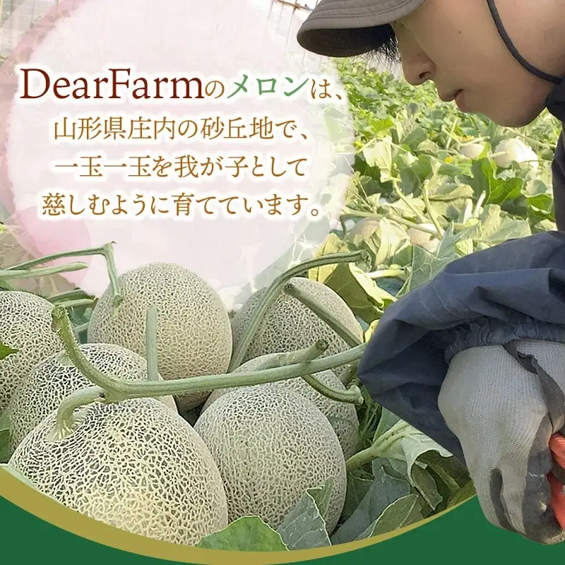 【令和8年産先行予約】　DearFarm砂丘からの贈物　＜珠玉アンデスメロン＞　約5kg（3～5玉）山形県鶴岡市　K-836　| メロン めろん アンデスメロン 5キロ 山形 鶴岡 庄内 庄内産 東北 フルーツ 果物 くだもの 夏 旬 人気 おすすめ 美味しい お取り寄せ 返礼品 