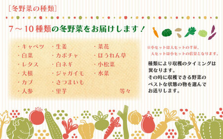 【 3回定期便 早期受付 数量限定 】アグリユウベの冬野菜セット (小) とれたて 新鮮 農家直送 国産 野菜 野菜便 やさい 野菜 冬野菜 国産 旬 高知県 四万十市 四万十 しまんと【配送月：2026年12月・2027年1月・2月】26-0029