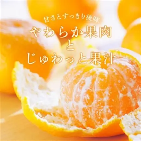 温州みかん先行予約!和歌山県産ミカン約5kg(40個～60個入)秀品　味に自信あり!こだわり農家厳選【1707202】