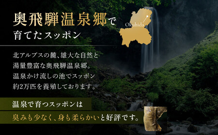 湯けむり美人すっぽんスープ　4人前｜和風惣菜 食品 人気 コラーゲン 栄養 伝統 日本料理 煮込み 温まる 冬季 スープ料理 だし 焼岳すっぽん HE005