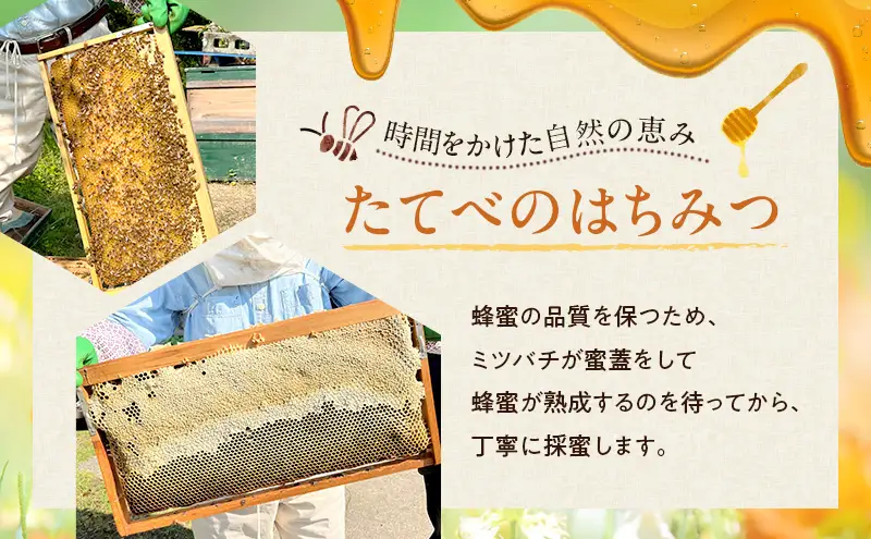 ＜ 百花 蜂蜜 2本＞と＜ れんげ 蜂蜜 1本＞の3点 セット はちみつ 加工食品 